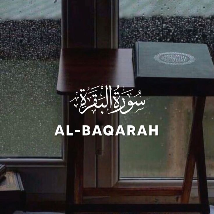 Surat
